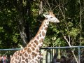 ZOO-Viden 24 srpen 2014 252.JPG